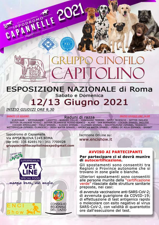 Esposizione Nazionale di Roma