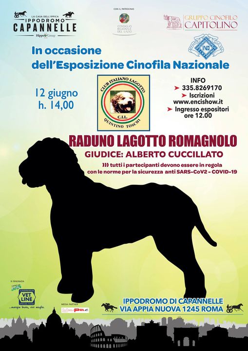 Raduno Lagotto Romagnolo