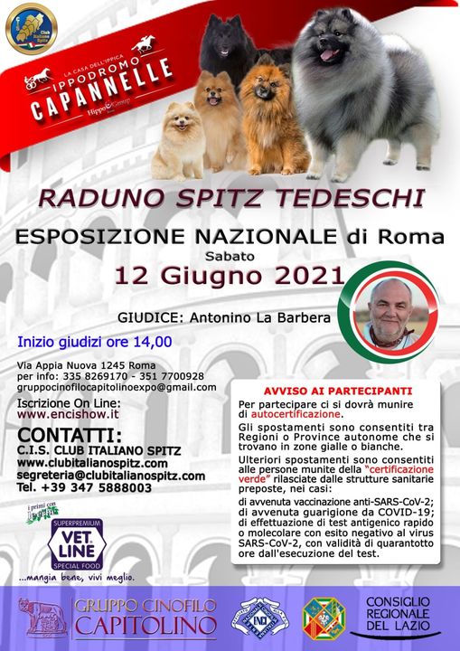 Raduno Spitz Tedesco