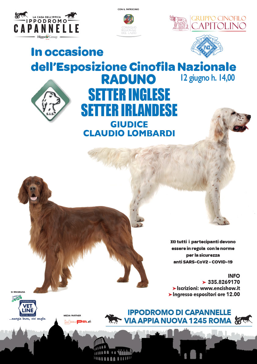 Raduno Setter Inglese e Irlandese